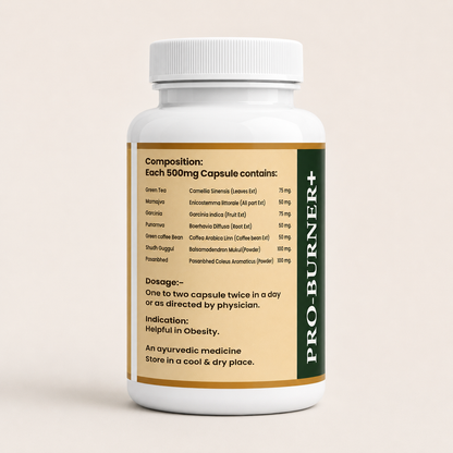 Pro Burner+ Fat Burner